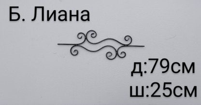 11298.jpg