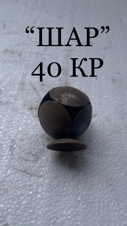 11354.jpg