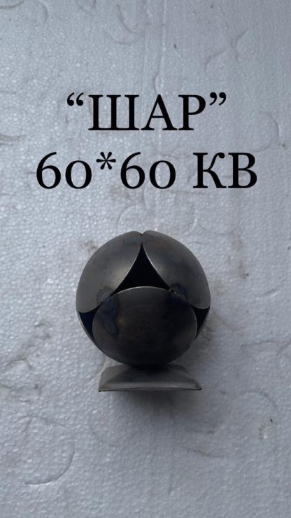 11356.jpg